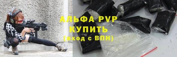 тгк Майский