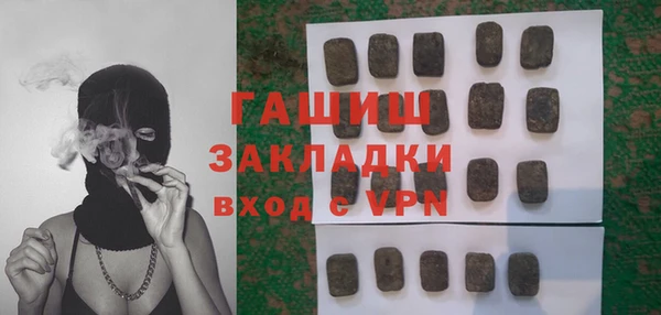 молекула духа Волоколамск