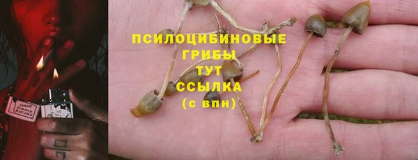 индика Березники