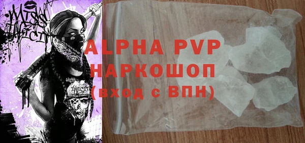 индика Березники