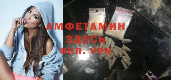 молекула духа Волоколамск