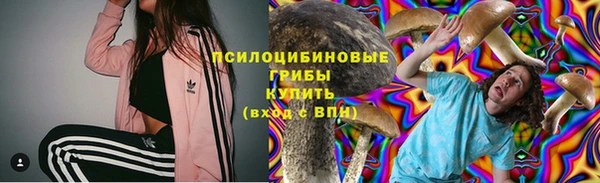 молекула духа Волоколамск