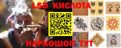 кокс Берёзовский