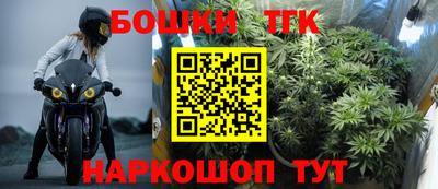 индика Бийск