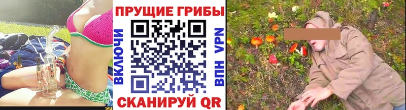 даркнет сайт Гуково Галлюциногенные грибы MAGIC MUSHROOMS