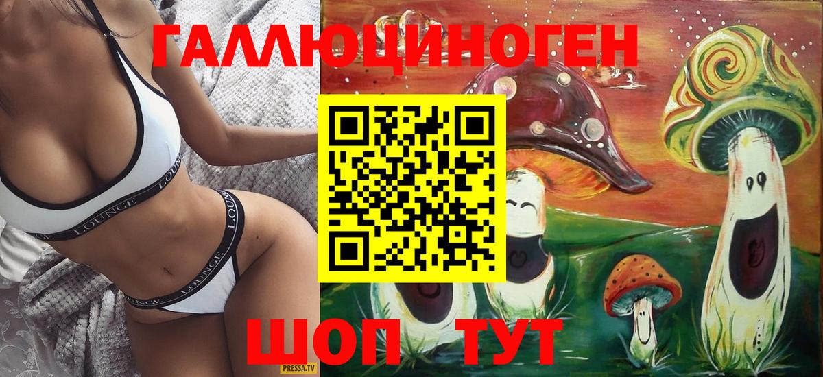 Галлюциногенные грибы Psilocybe Гуково
