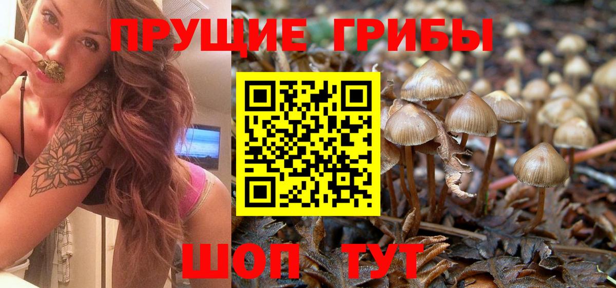 Галлюциногенные грибы мицелий  Вход с VPN  цена наркотик  Гуково 