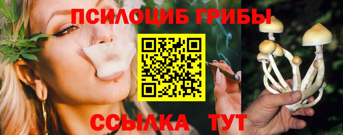 Галлюциногенные грибы Psilocybine cubensis  Гуково 