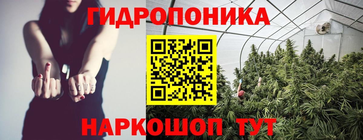 Бошки марихуана VHQ  МАРИХУАНА тримм  Гуково  Вход с VPN  Канабис Bruce Banner 